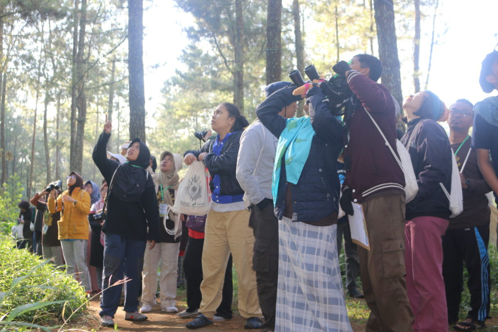 birdwatching genbinesia