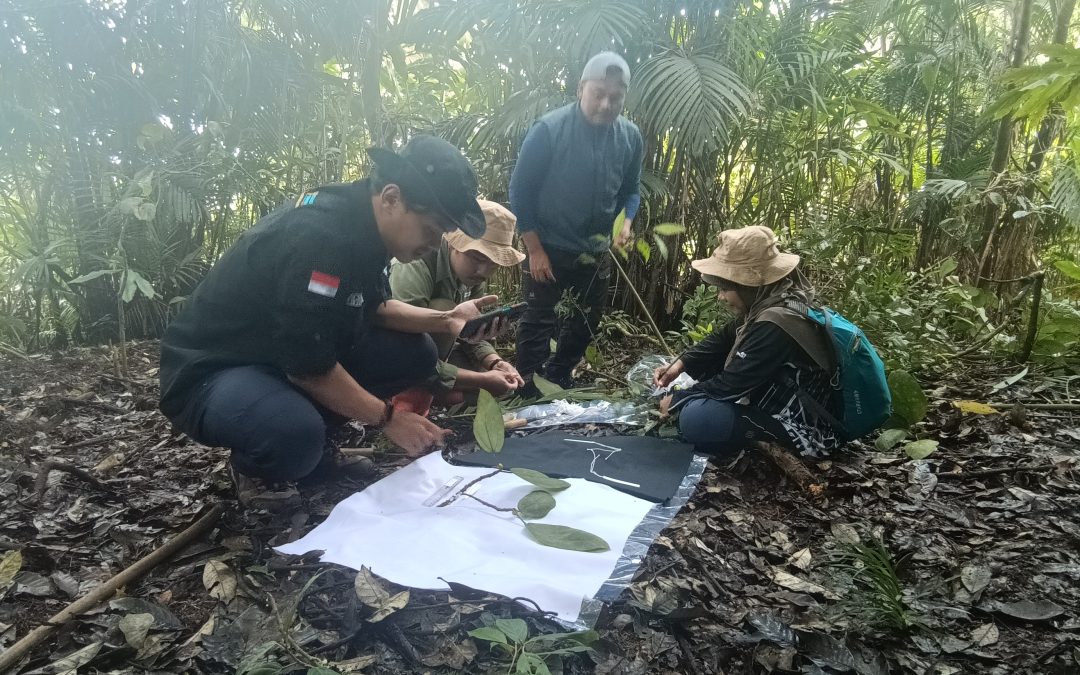 Generasi Biologi Indonesia Berhasil Inventarisasi 820 Jenis Tumbuhan di Gunung Lawu